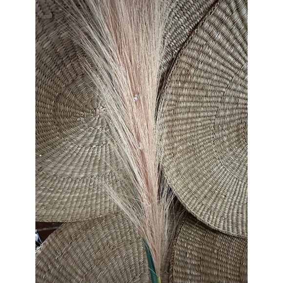 Single pampas decor - Picture 8 of 10